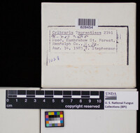 Image Associated With the Occurence